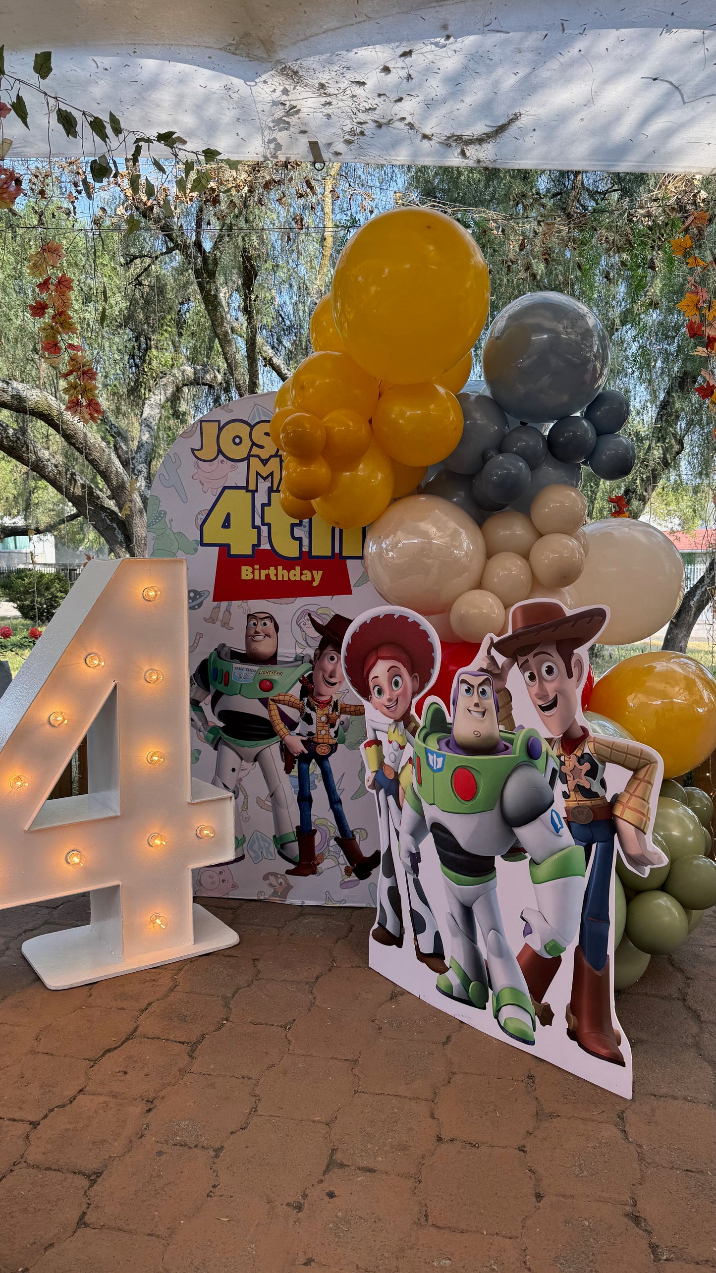 BACK TOY STORY