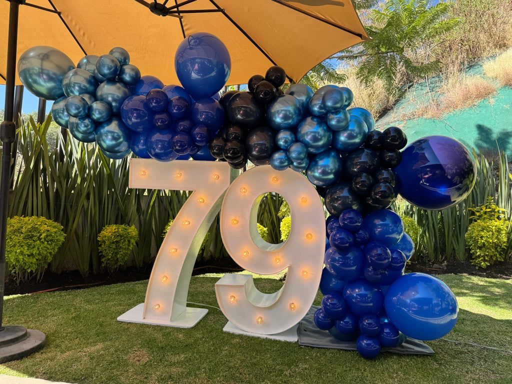 🎉 Guirnalda con Número 🎉