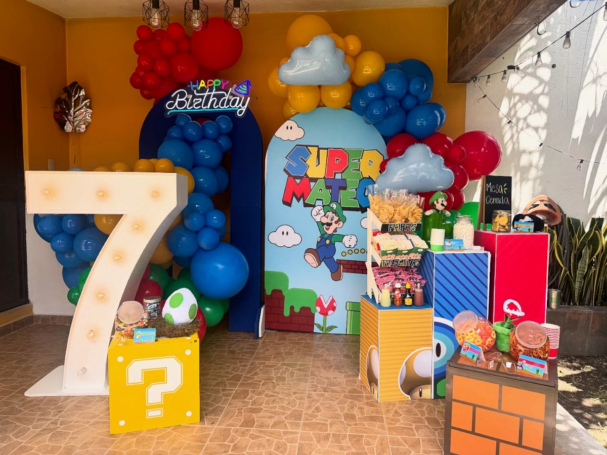 BACKDROP MARIO