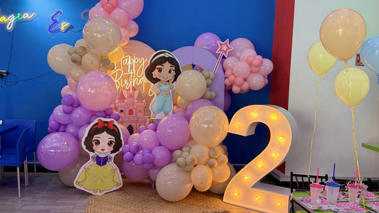 BACKDROP PRINCESAS