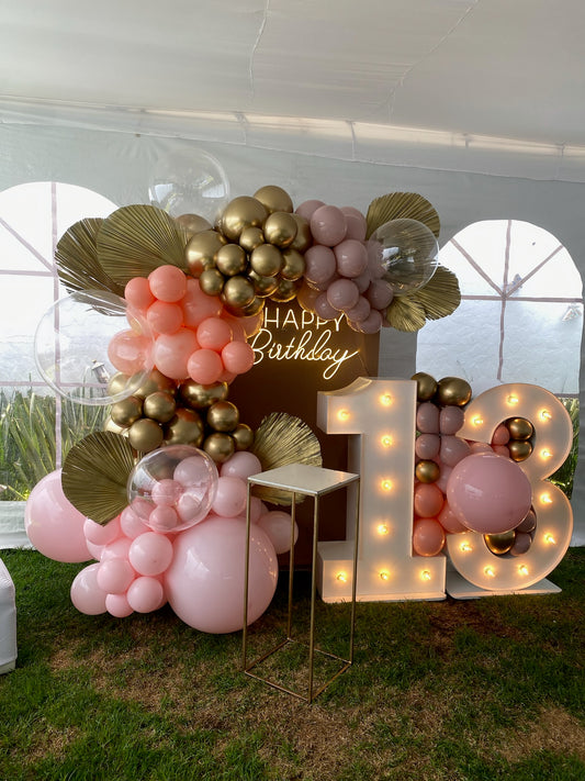 BACKDROP MAMPARA+NUMERO LIGHT PINK