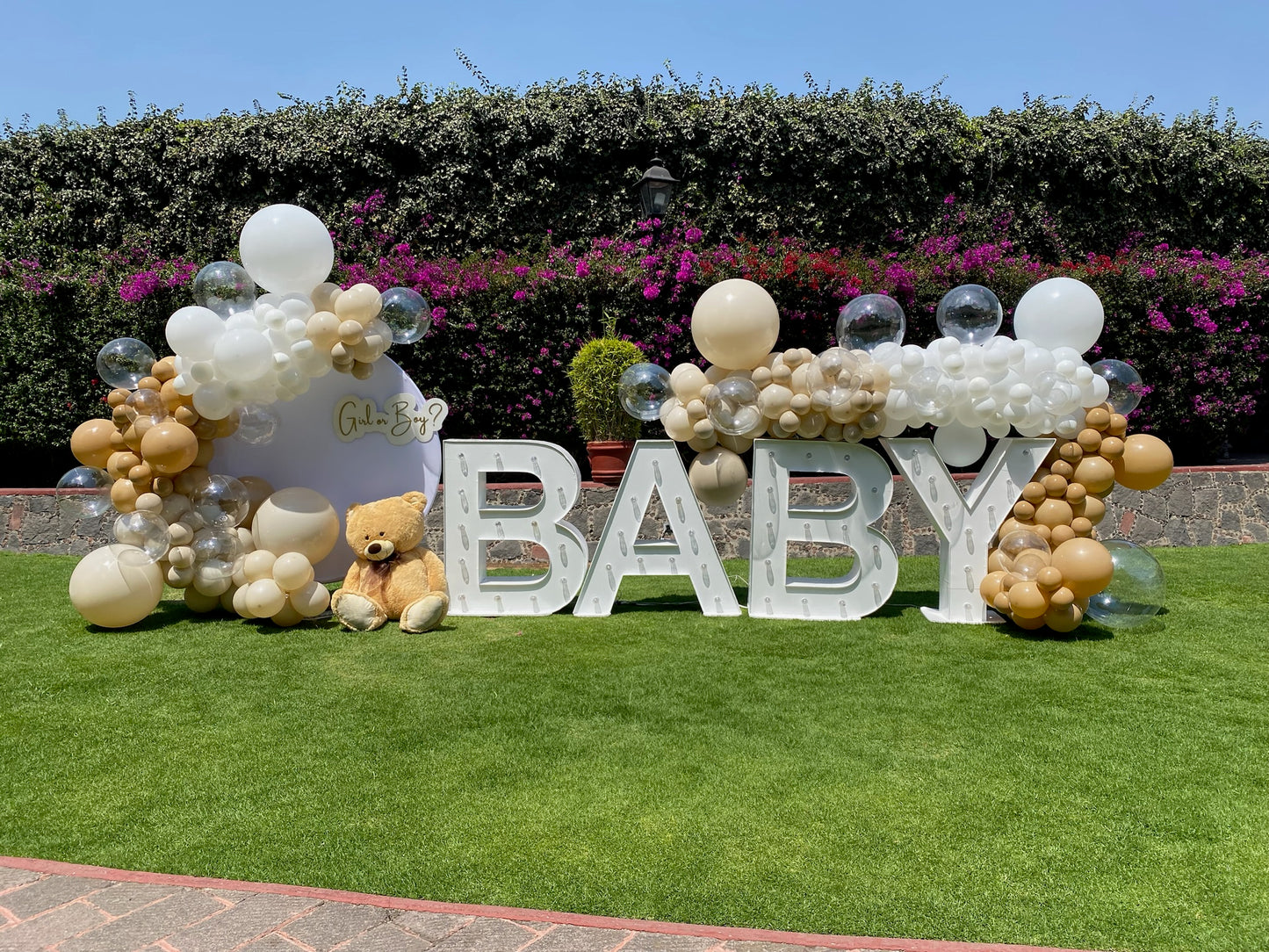 BACKDROP BABY ARENA