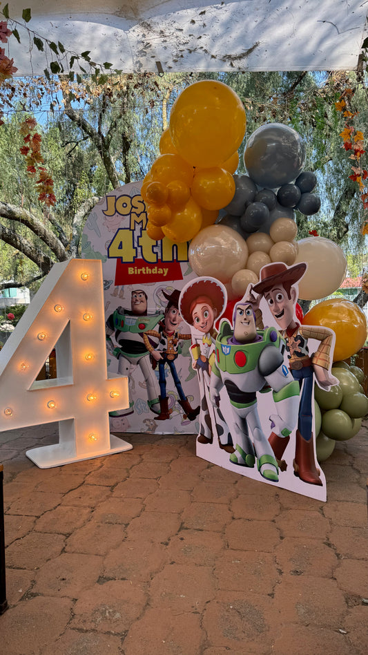 BACK TOY STORY