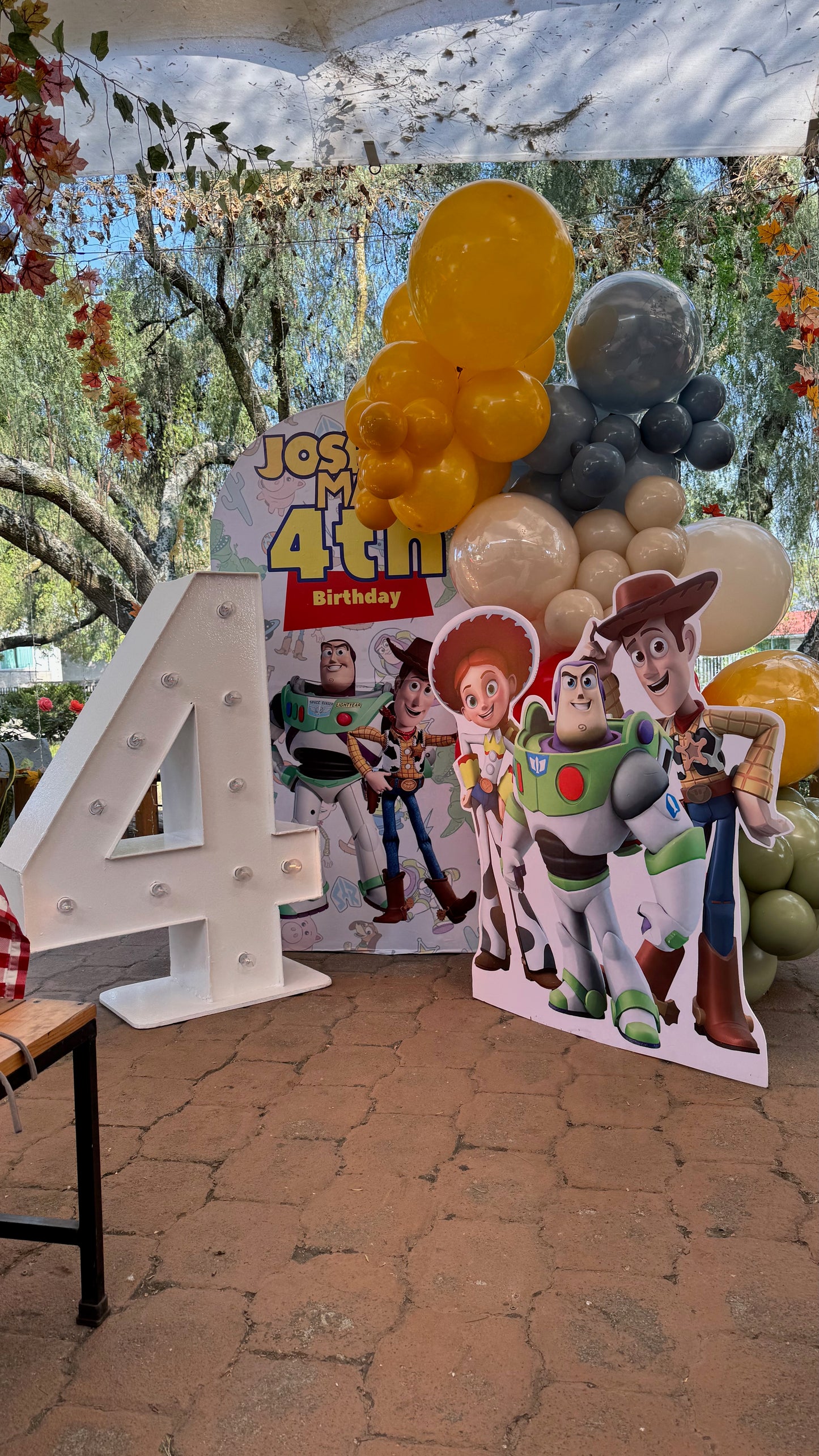 BACK TOY STORY