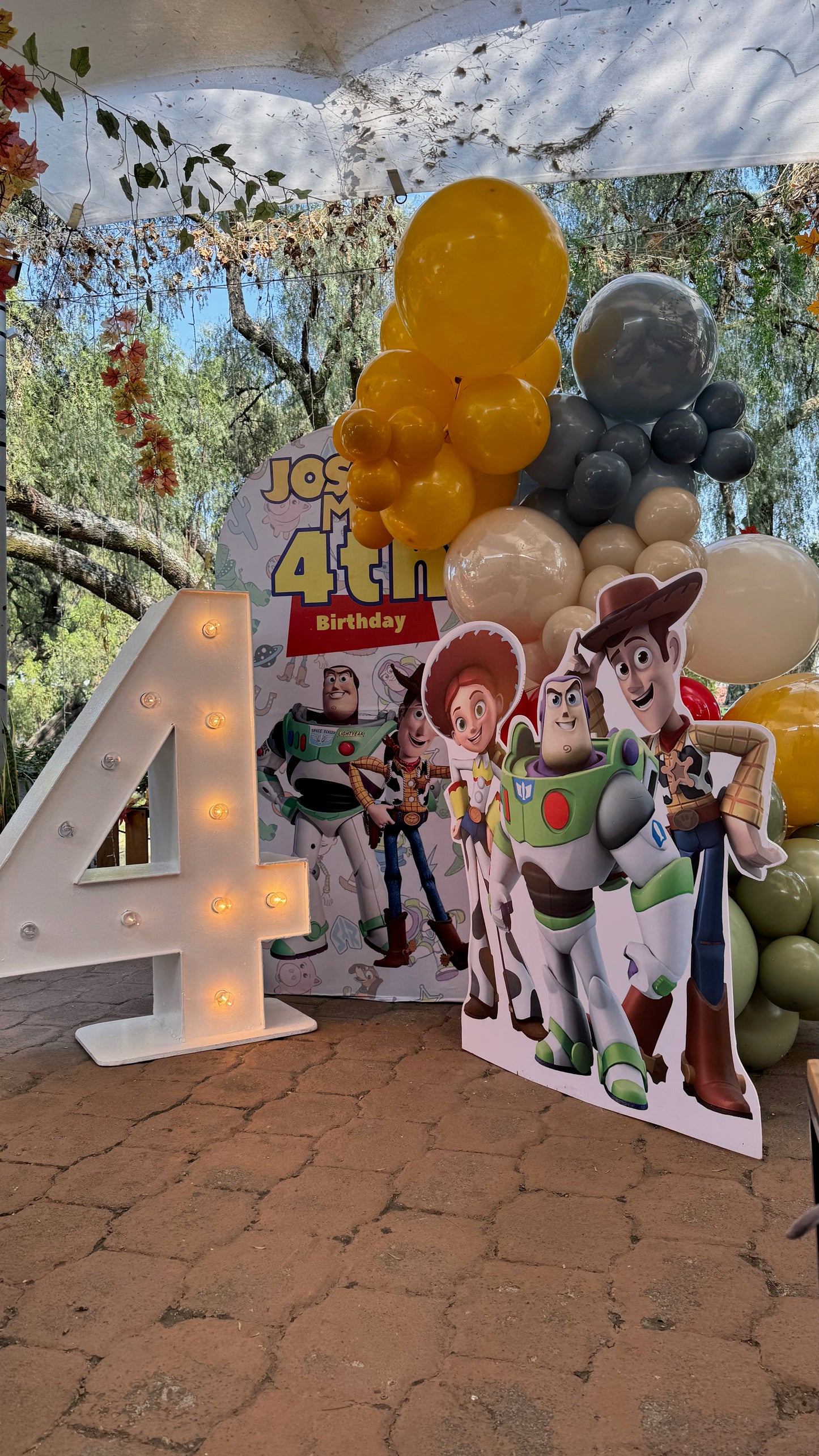 BACK TOY STORY