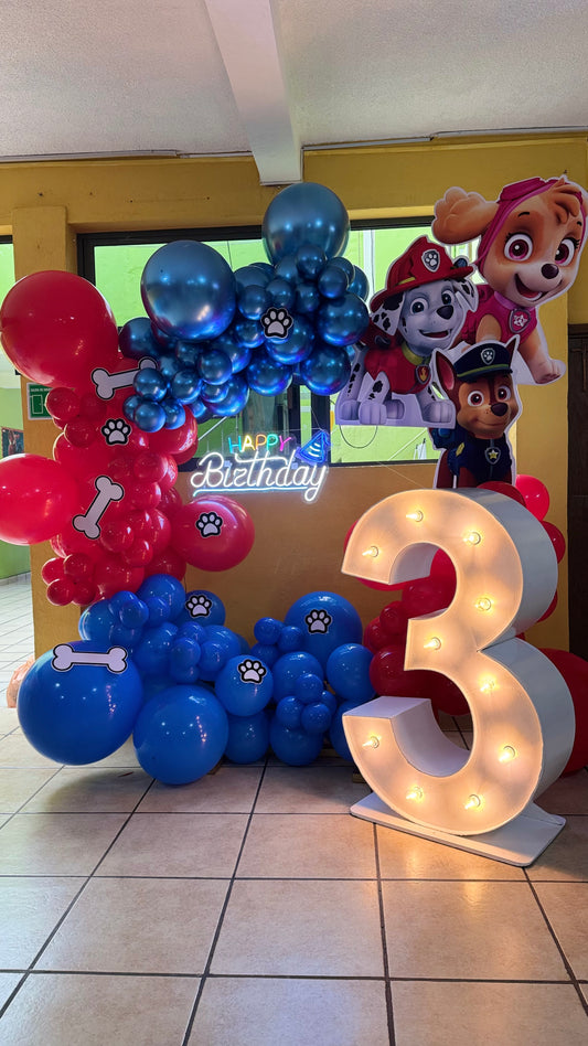 CIRCULO PAW PATROL