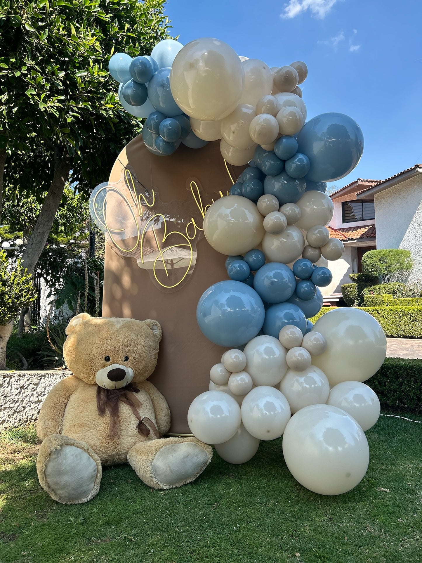 BACK TEDDY BEAR