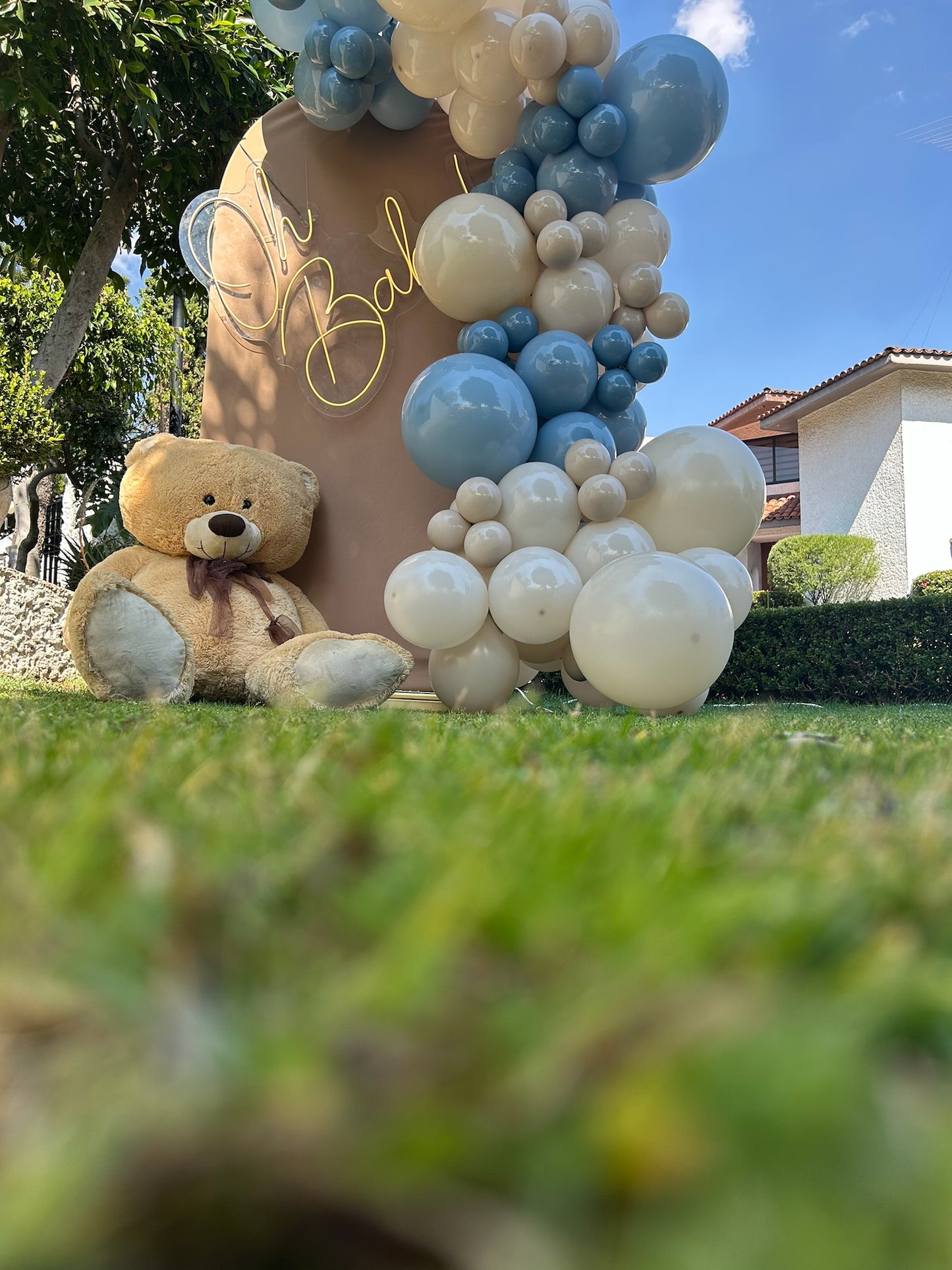 BACK TEDDY BEAR