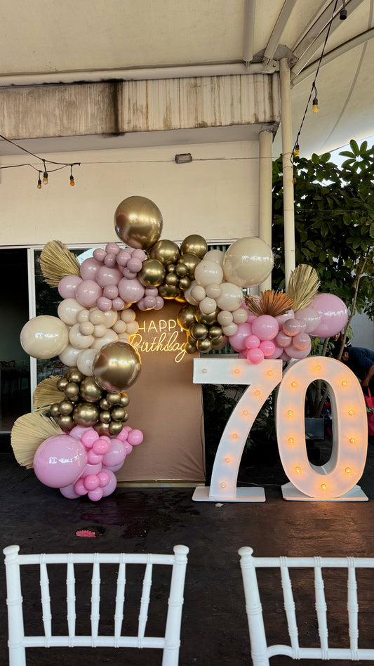 BACKDROP MAMPARA+NUMERO ROSA Y BEIGE