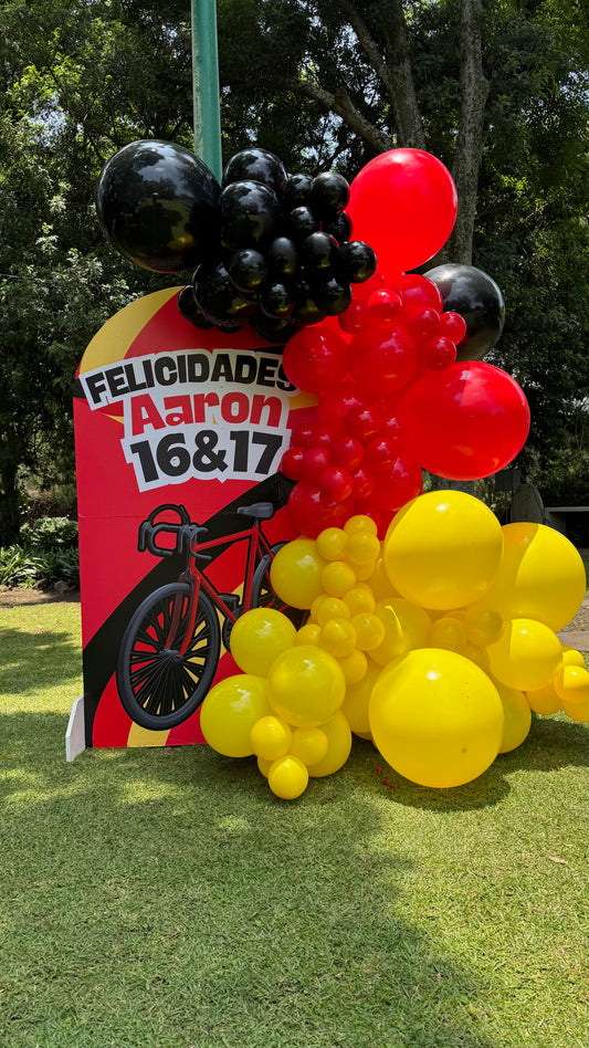 BACKDROP BICIS