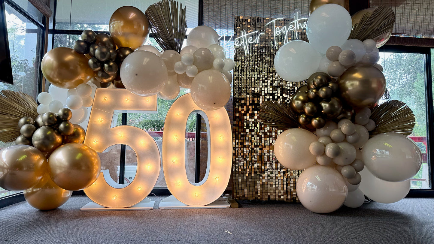 BACKDROP SHIMMER+NUMERO DORADO